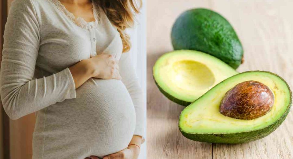 Is Avocado Good for Pregnancy | கர்ப்பிணி பெண்கள் அவகேடோ பழம் சாப்பிடலாமா?