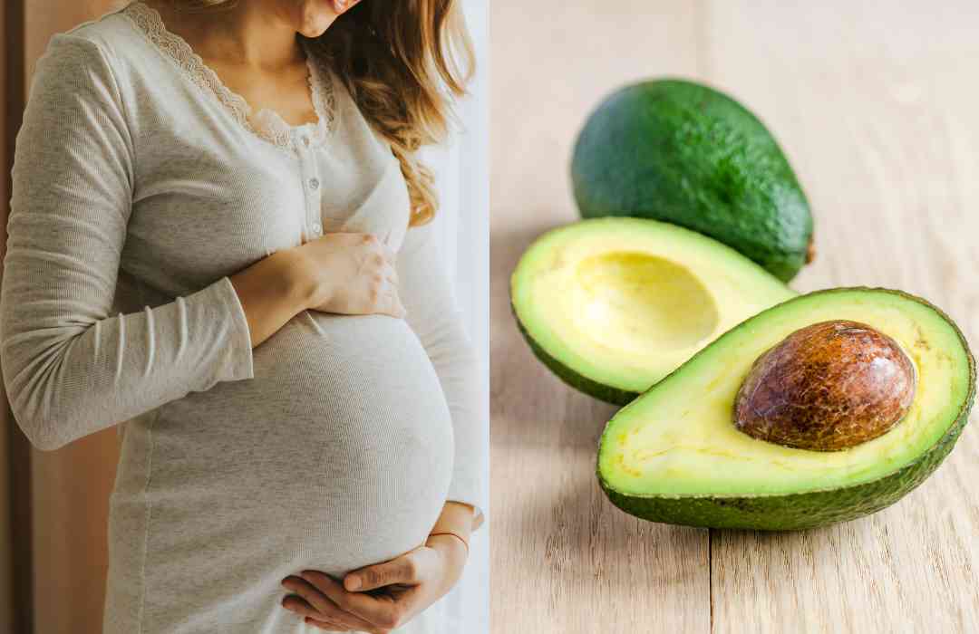 Is Avocado Good for Pregnancy | கர்ப்பிணி பெண்கள் அவகேடோ பழம் சாப்பிடலாமா?