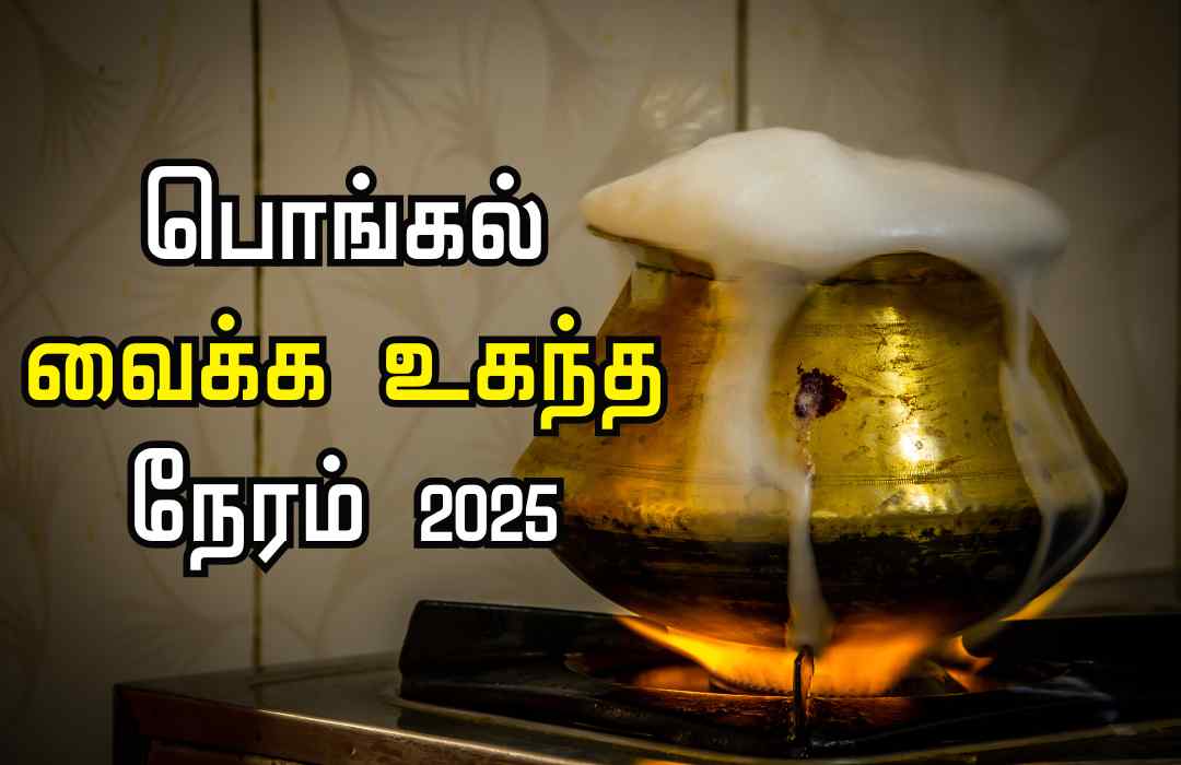 தைப் பொங்கல் எப்போது? பொங்கல் வைக்க உகந்த நேரம் குறித்த முழு தகவல்கள் | Pongal 2025 Date and Time Details in Tamil