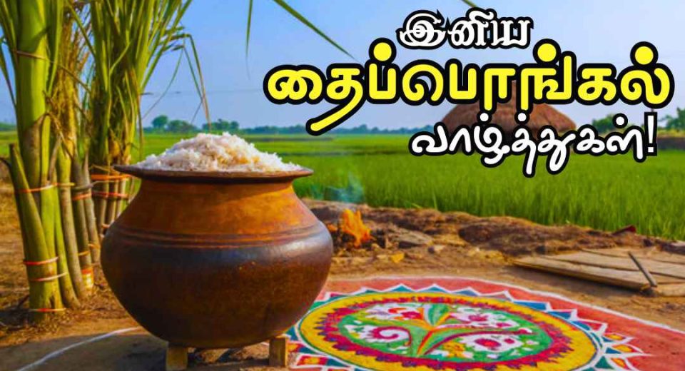 சொந்தங்கள் அனைவருக்கும் இனிய பொங்கல் திருநாள் நல்வாழ்த்துக்கள்! | Pongal Wishes in Tamil 2025 Images