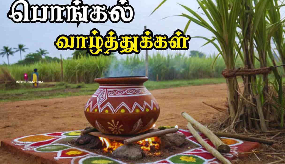 பொங்கல் பண்டிகை எதற்காக கொண்டாடுகிறோம் தெரியுமா? | Why Pongal 2025 is Celebrated in Tamil