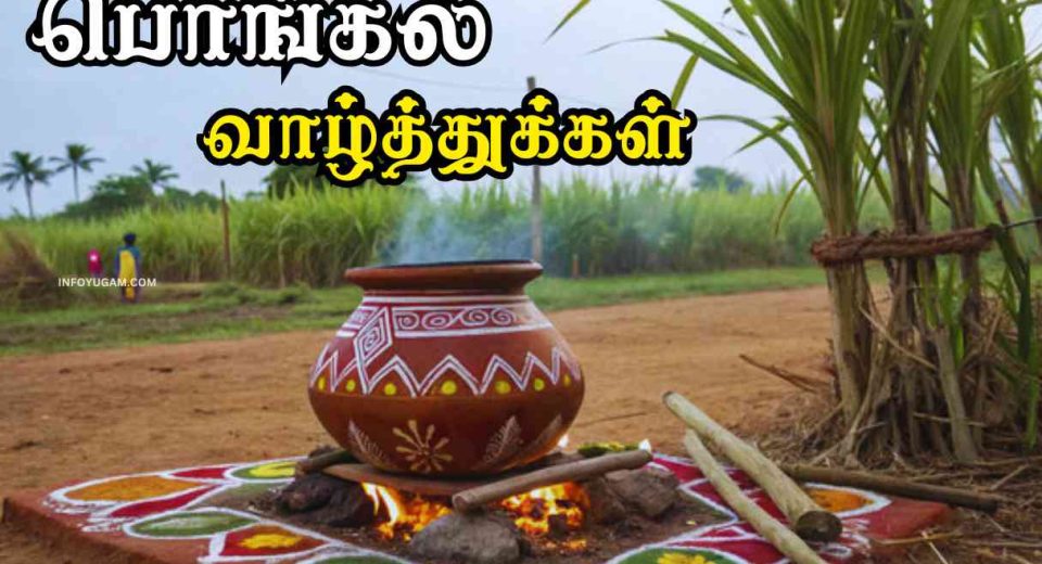 பொங்கல் பண்டிகை எதற்காக கொண்டாடுகிறோம் தெரியுமா? | Why Pongal 2025 is Celebrated in Tamil