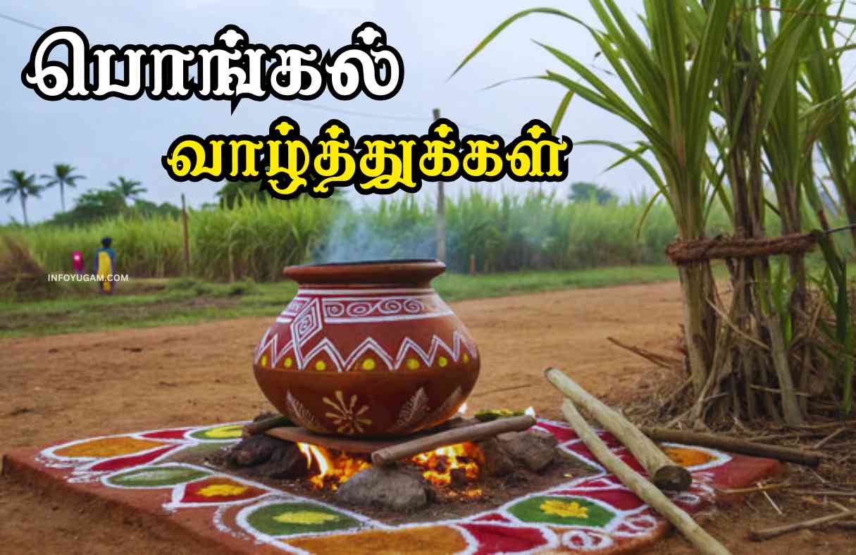 பொங்கல் பண்டிகை எதற்காக கொண்டாடுகிறோம் தெரியுமா? | Why Pongal 2025 is Celebrated in Tamil